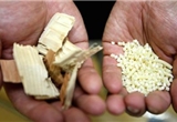 丰田正在研究用木头制造汽车部件