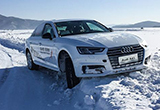 以“quattro”之名 纵情冰面演绎雪舞轻扬