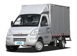 五菱荣光小卡EV